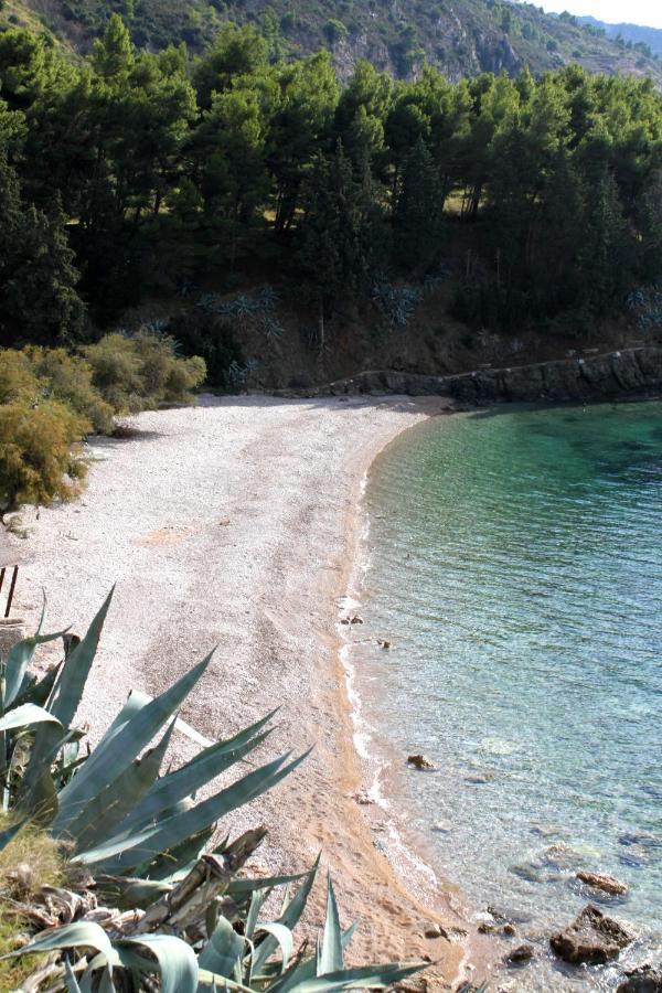 Apartments And Rooms By The Sea Komiza, Vis - 2431 Exteriér fotografie
